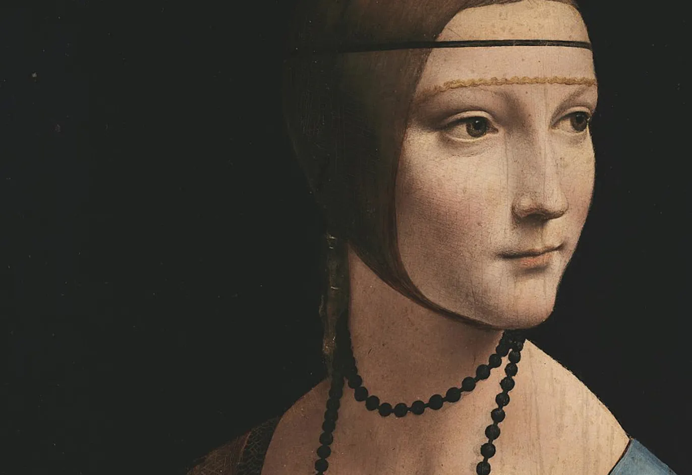 leonardo da vinci