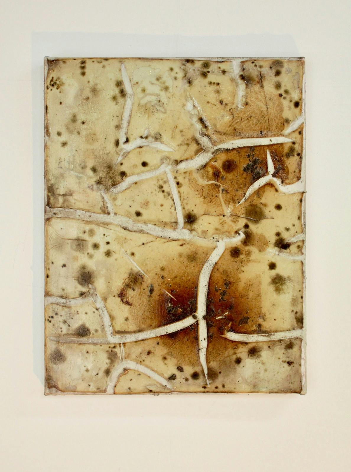 Petri IV, 2022, Agar, mould, soil, acrylic on canvas, 450mm (H) x 350mm (W) x 20mm (D), Unframed, NZ$1,200.00