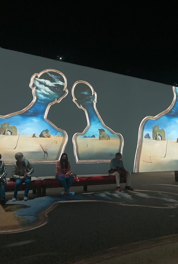 A glimpse of the immersive digital Dali experience. 