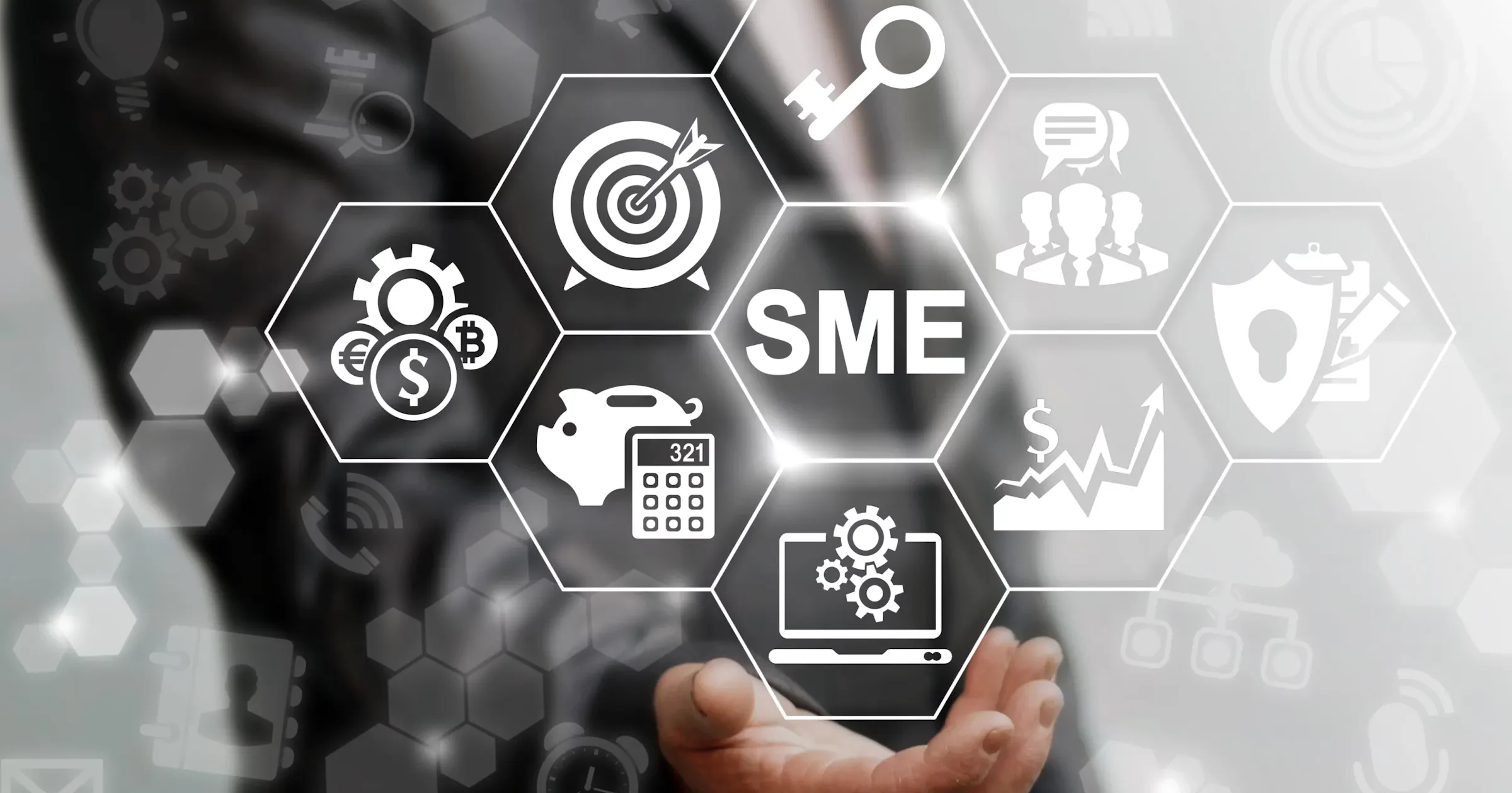 The SMEs of India: The Pursuit of Big Potential from Small Enterprises