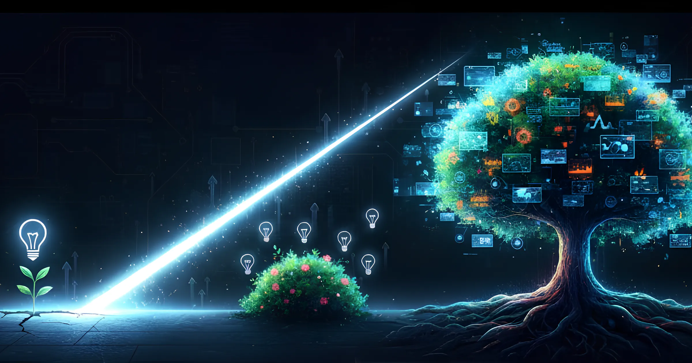 Seeing Value Where Others See None: How Businesses Identify and Create Opportunities