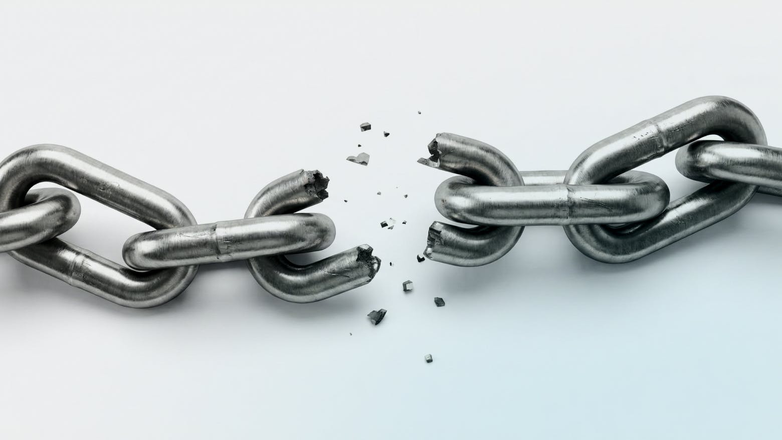 Global markets as living ecosystems shaped by culture, history, and informal business structures.