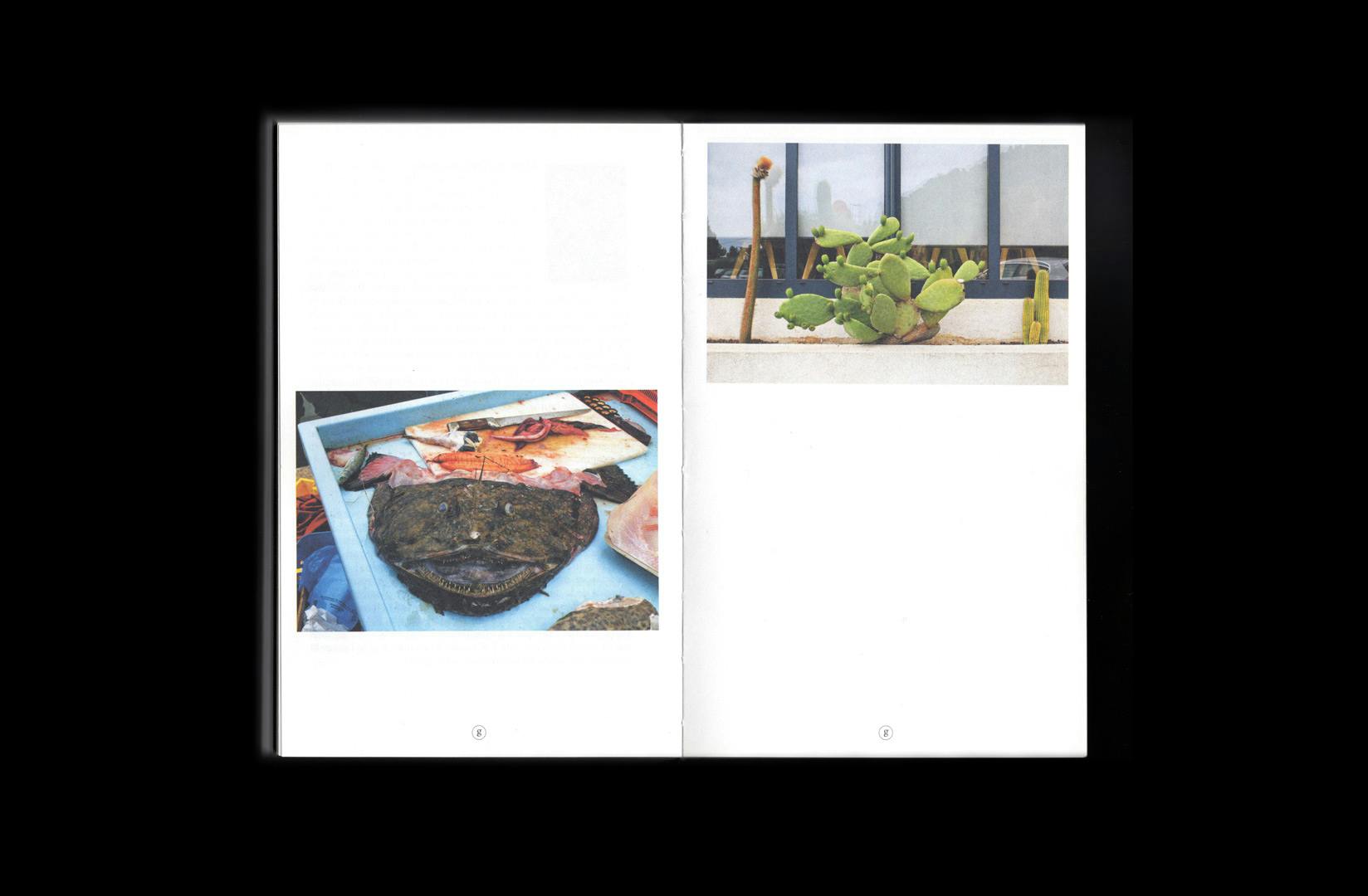 Arthur Calame - Calanques Frontières - 12x19cm, 384 pages, Impression Offset, 2022 - Image 6