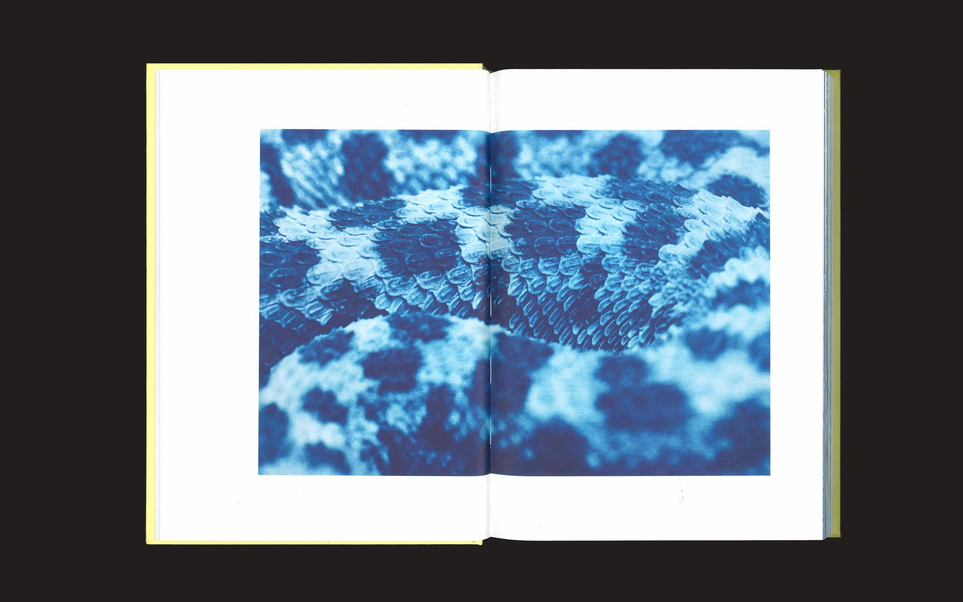 Arthur Calame - L'Adieu du Minotaure - Lettrage sur mesure, Livre, 20 x 28 cm, 112 pages, impression quadrichromie Offset, 2022 - Image 6
