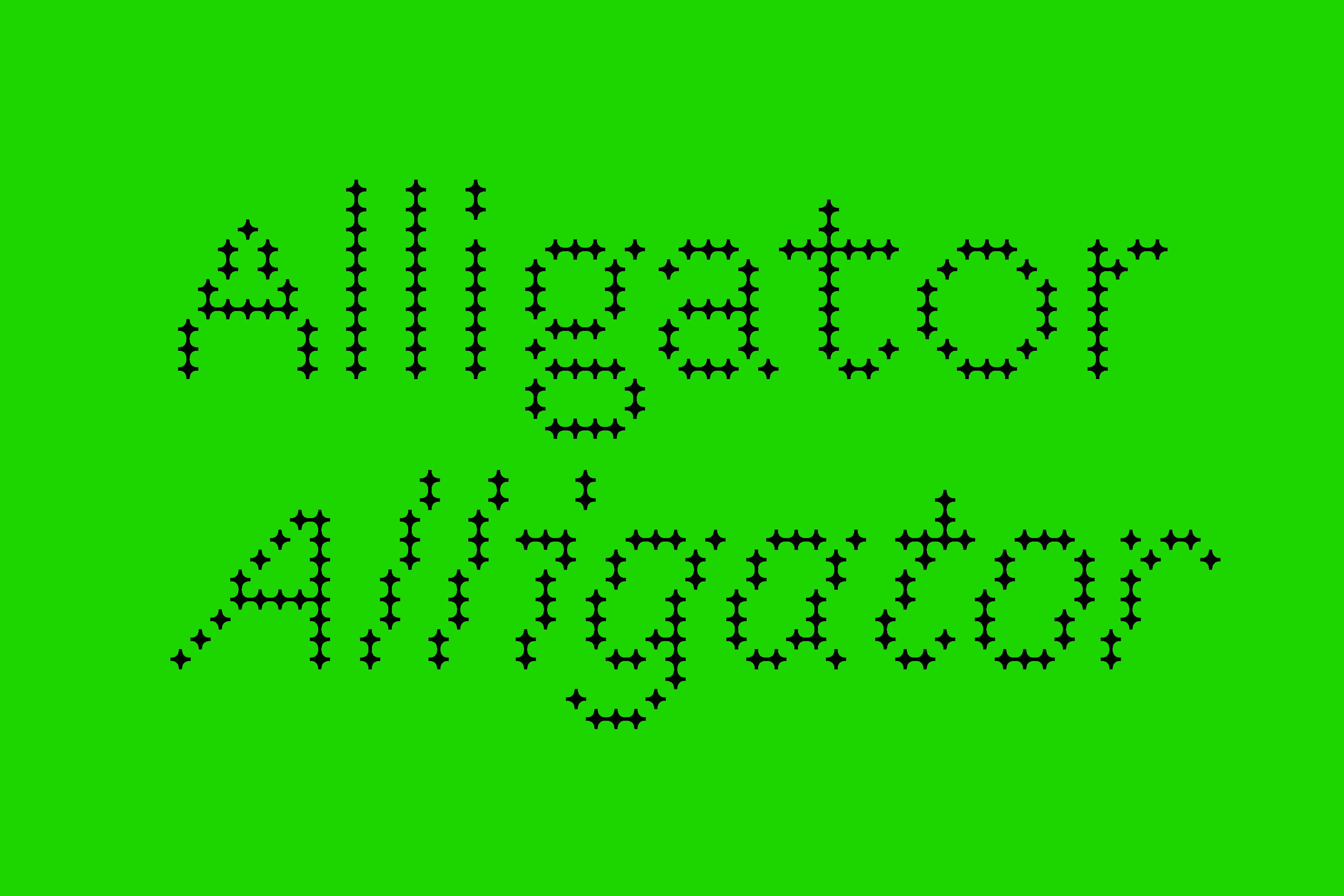Arthur Calame - Bobine - Typographie – Regular, Italic, Bold, Bold Italic, Titling, 2025 - Image 3