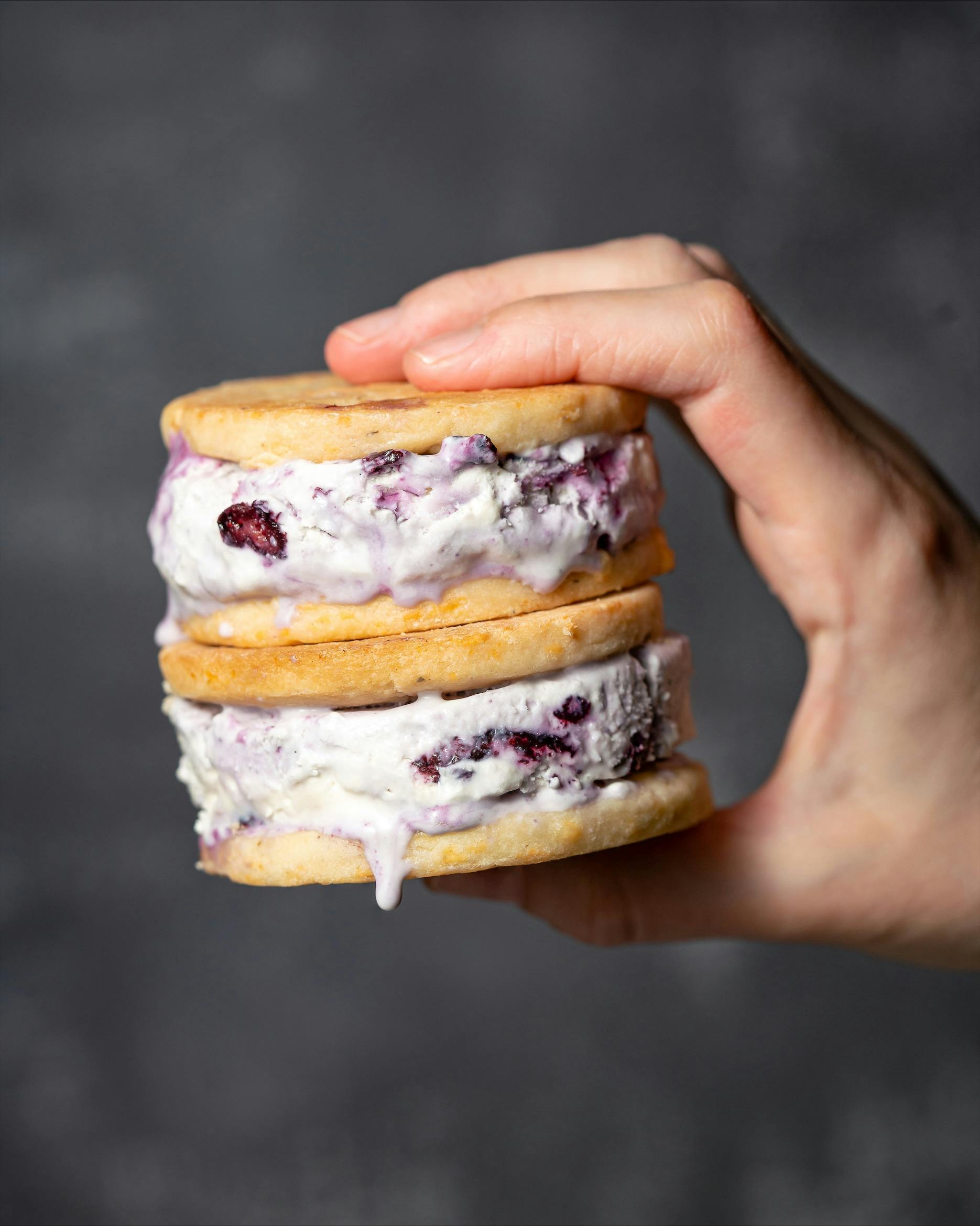 Lavender Thyme Gouda Cookies with No Churn Blueberry Ice Cream - Artikaas