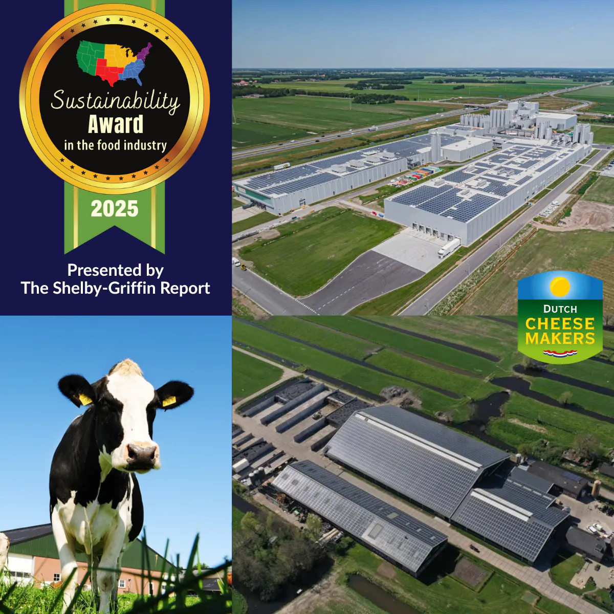 Artikaas Sustainability Award