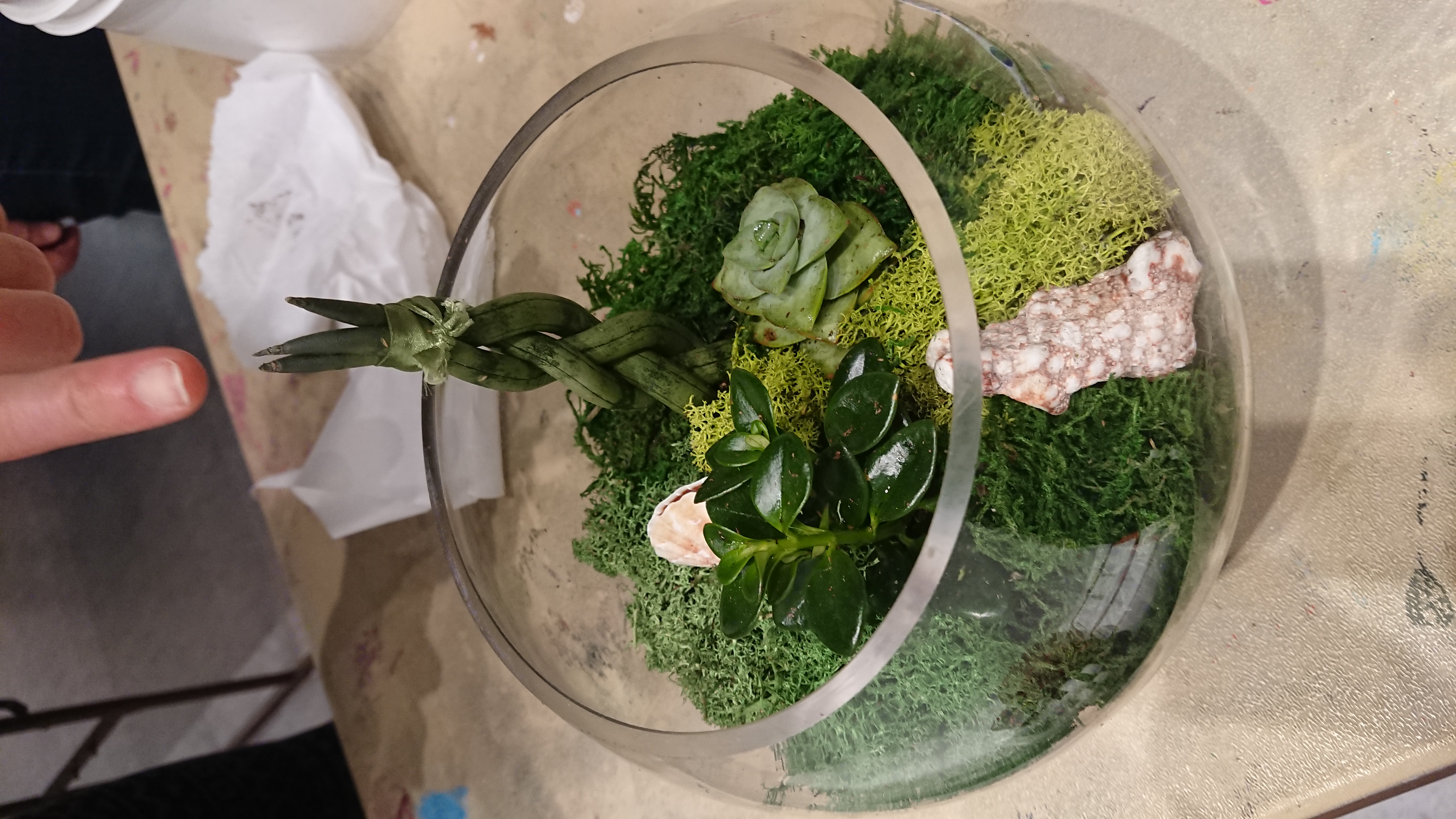 artsPlace Create Your Own Terrarium at artsPlace