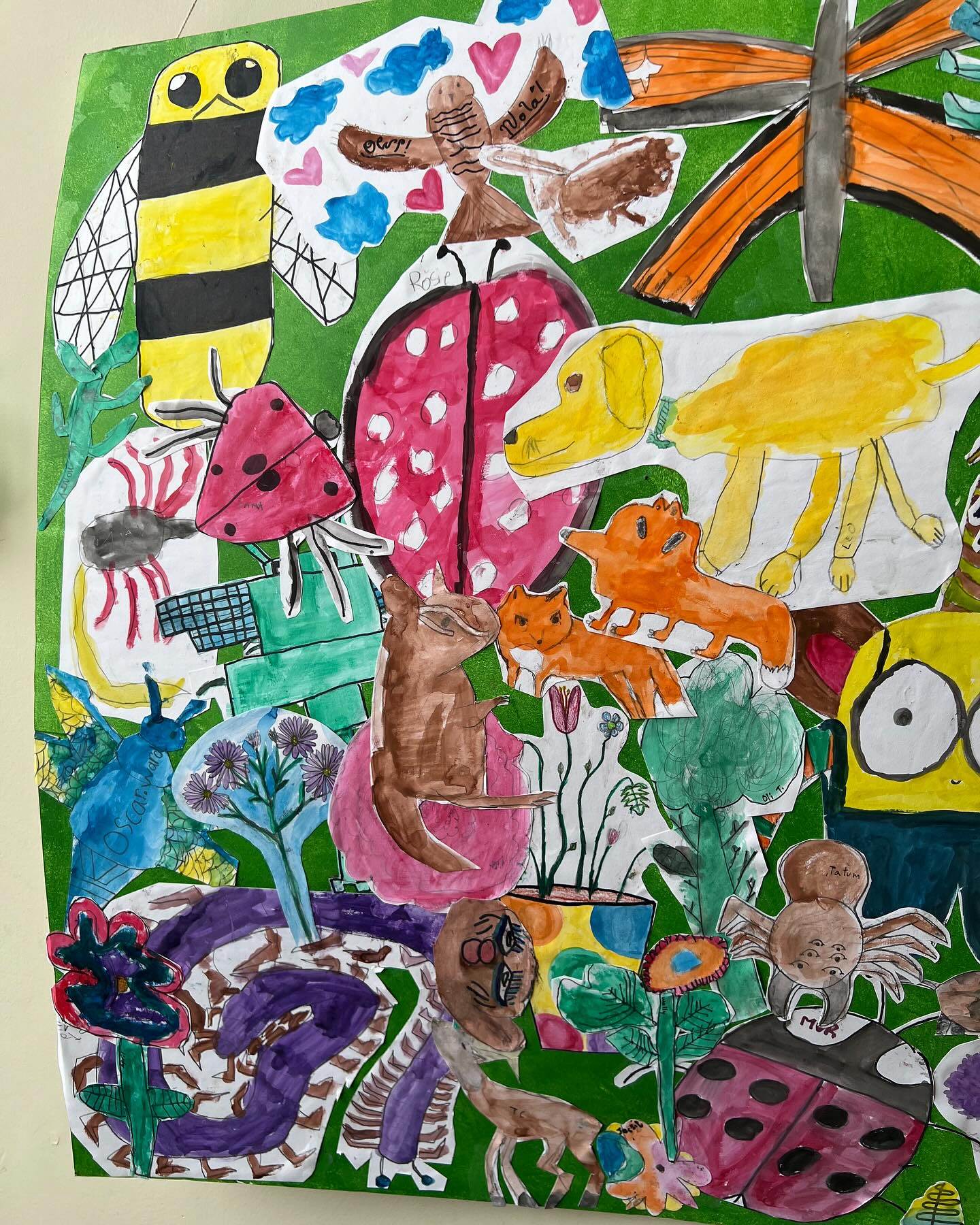 colorful artwork 