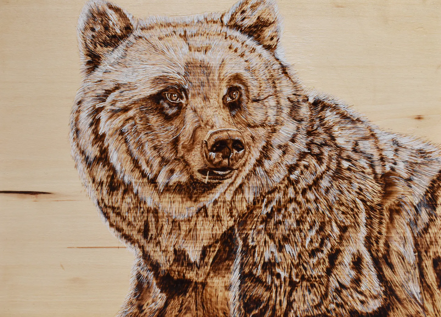 Beginner Wood Burning - Focus on Bears