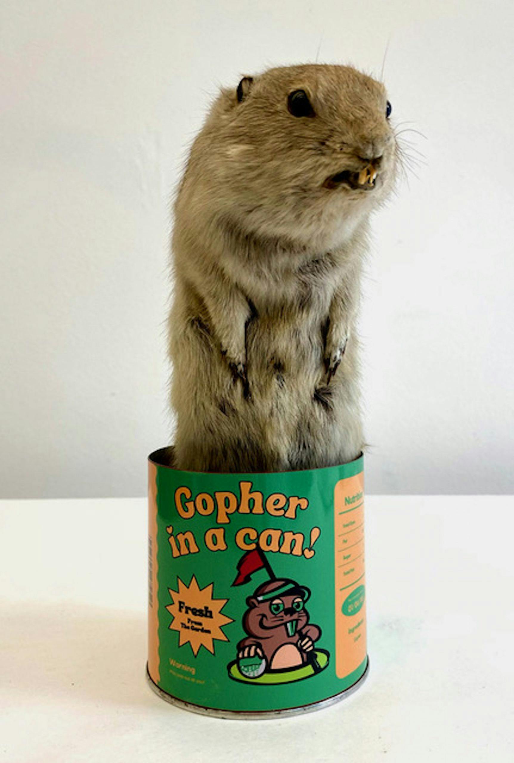 Ben Evely and Nahanni McKay, Gopher in a Can, 2023.