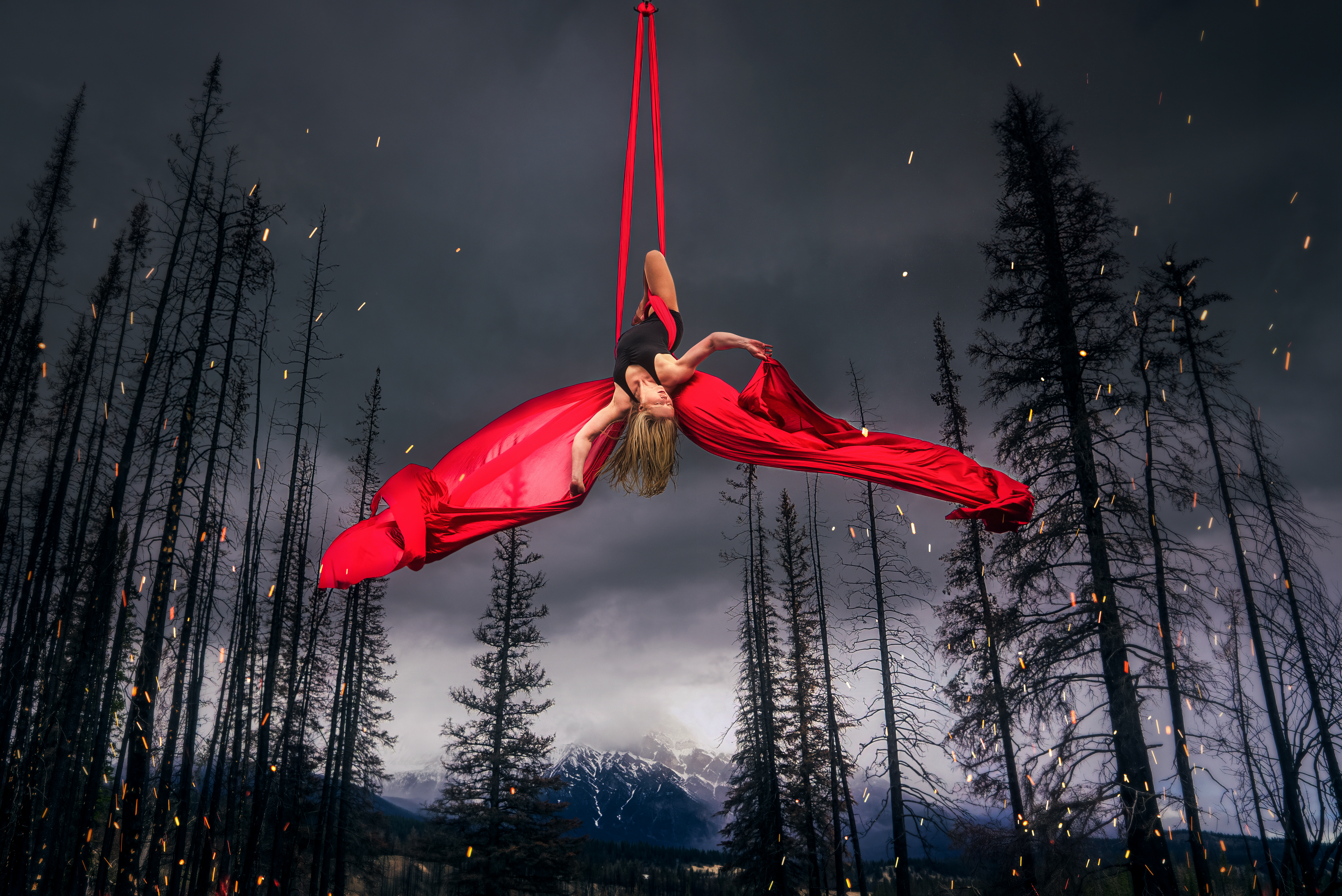 Featured image for Finding Light in the Ashes