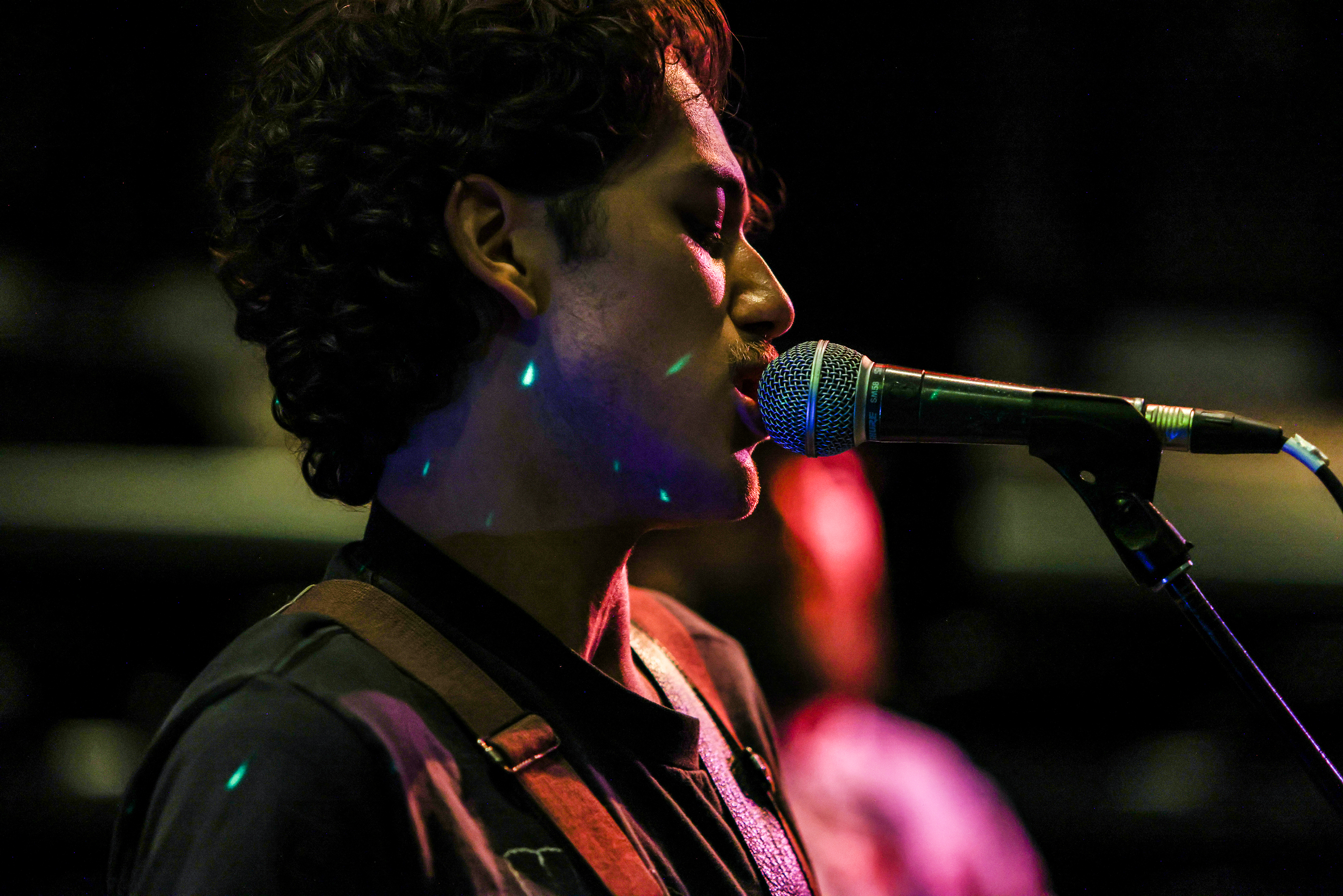 singer at the microphone 
