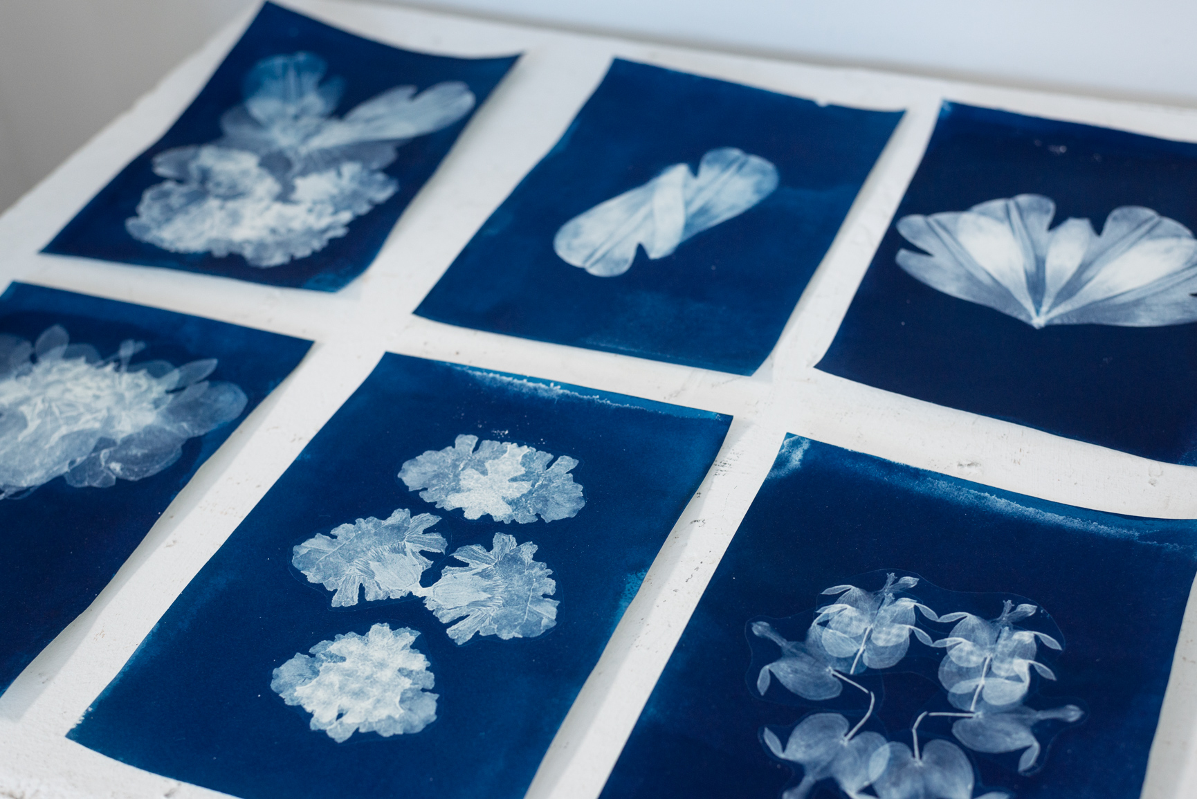 Featured image for Cyanotype Sketchbook + Cardmaking *NEW*
