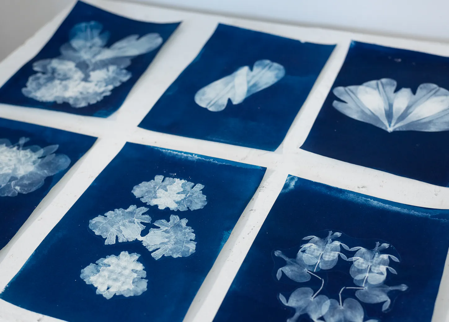 Cyanotype Sketchbook + Cardmaking