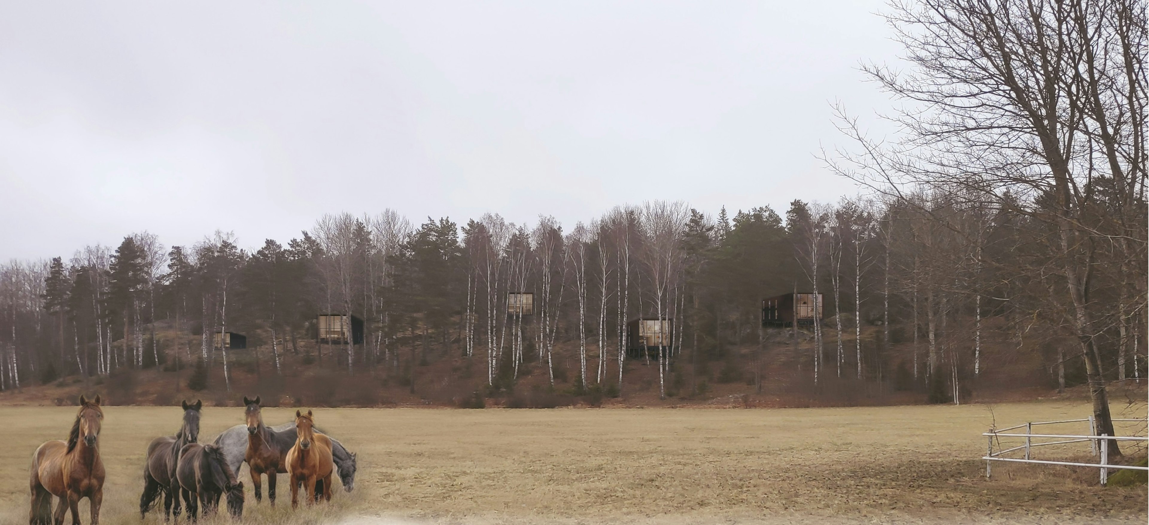 Fotomontage av bostäder i Hästbyn vid Valsta Säteri, Haninge – arkitektur i lantlig miljö ritat av Ascape Arkitektur.