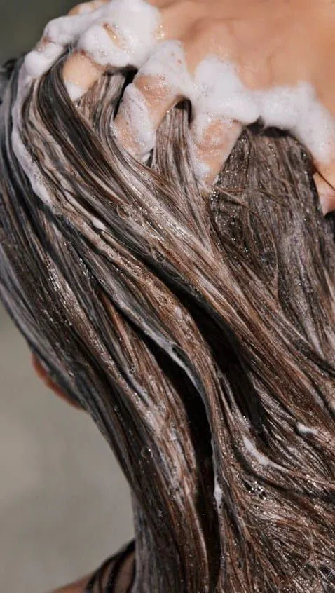 Цвят at Ashley Hairstyle Sofia