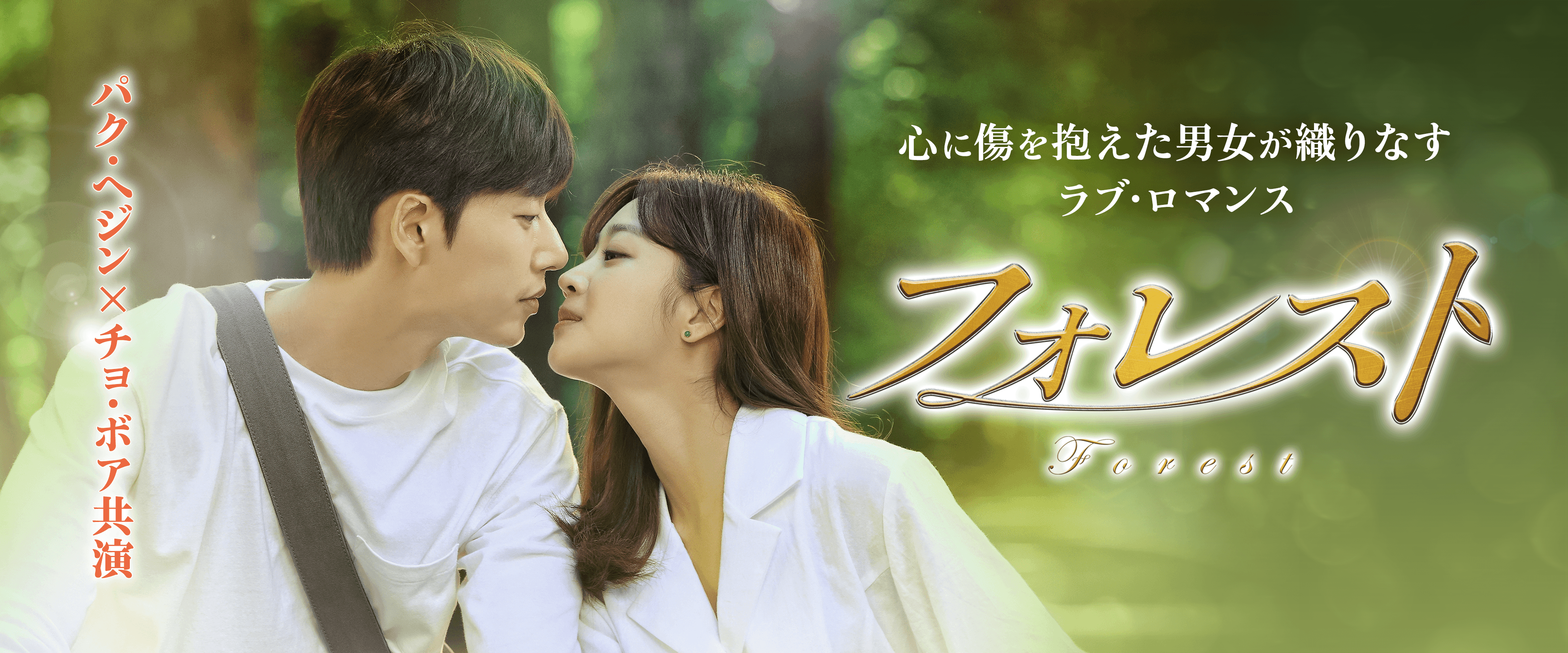フォレスト＜公式サイト＞｜韓ドラinfo