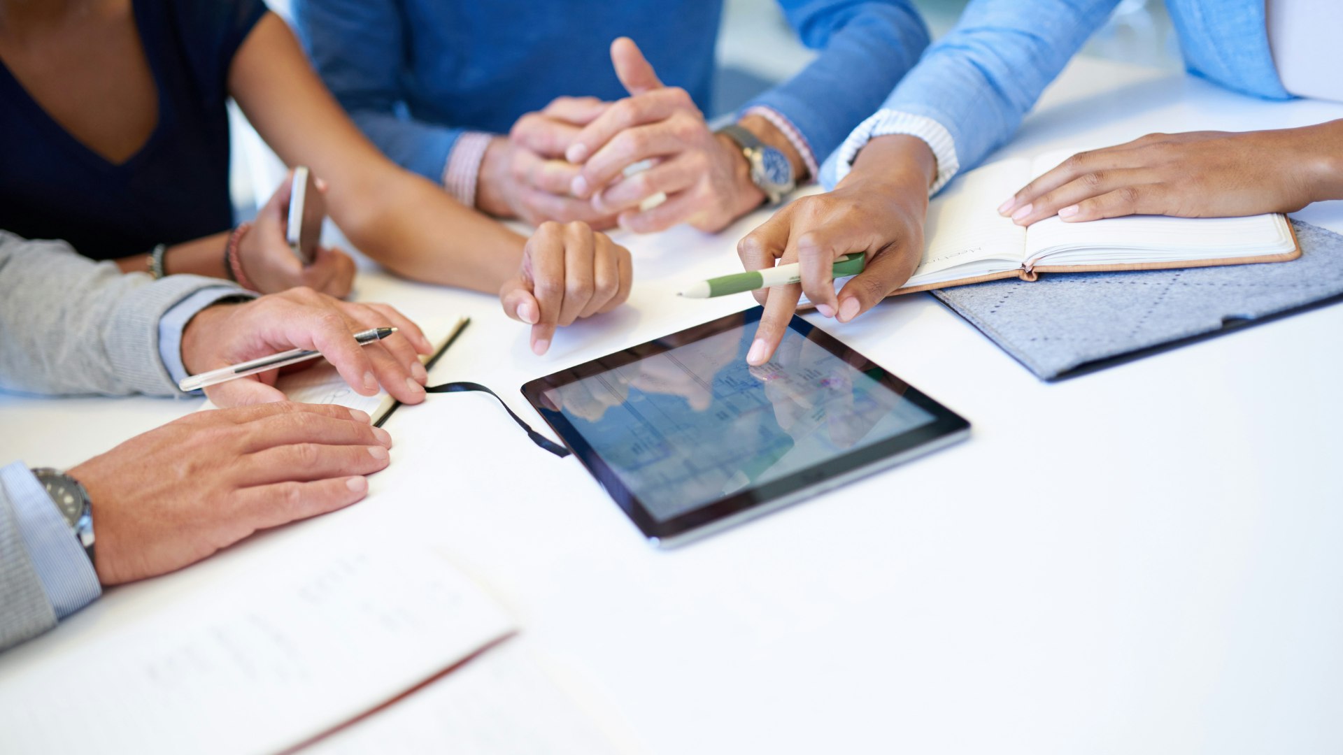 Colotis suivant la gestion de leur ASL sur une tablette numérique