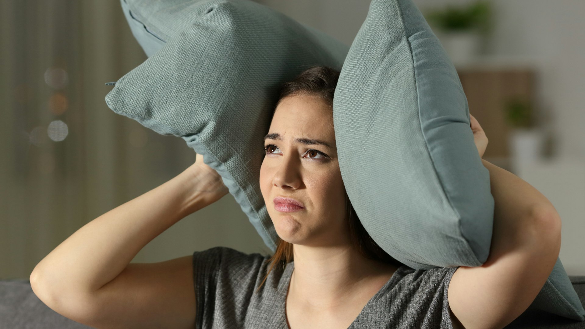 Coloti agacé par les nuisances sonores nocturnes