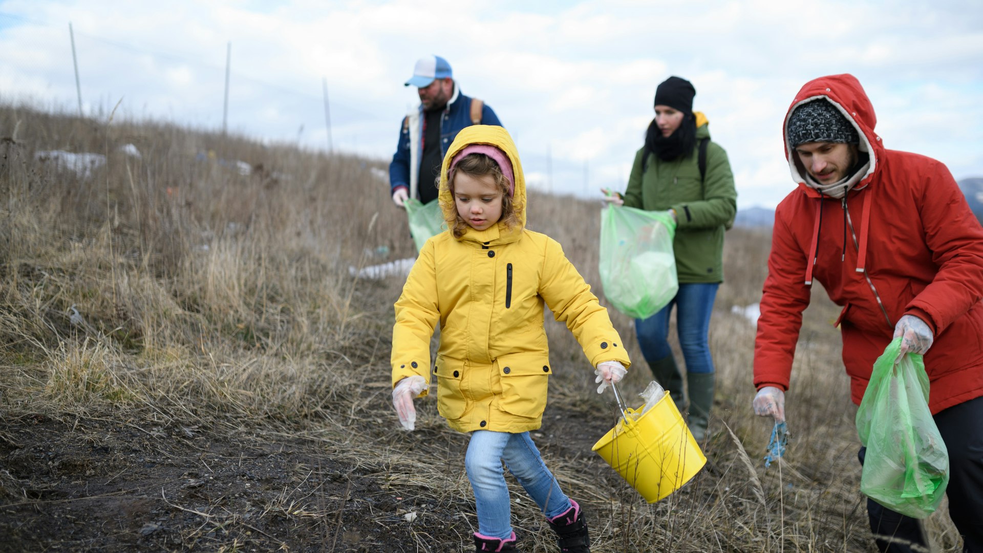 colotis nettoient leur ASL