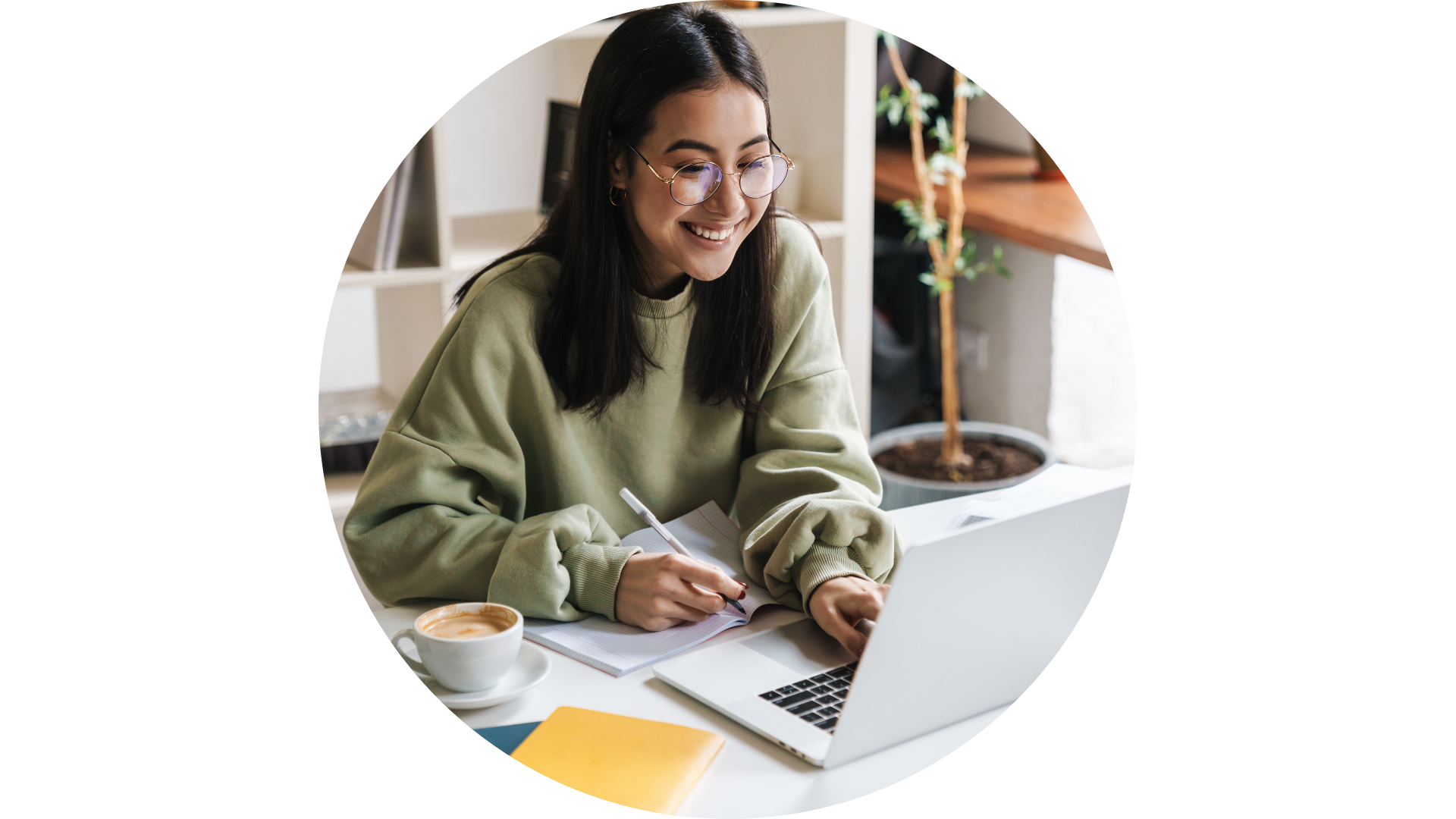 colotis utilise la plateforme