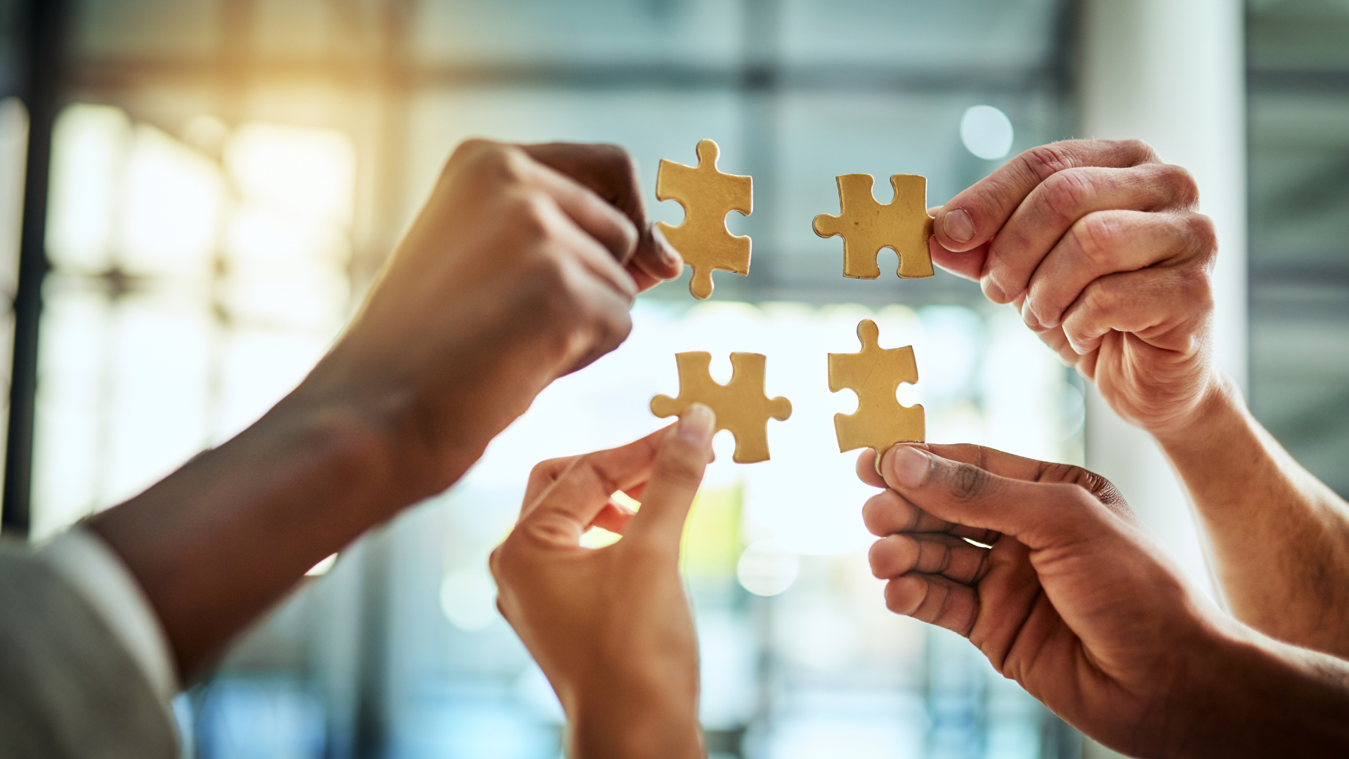 égalité règles statuts asl