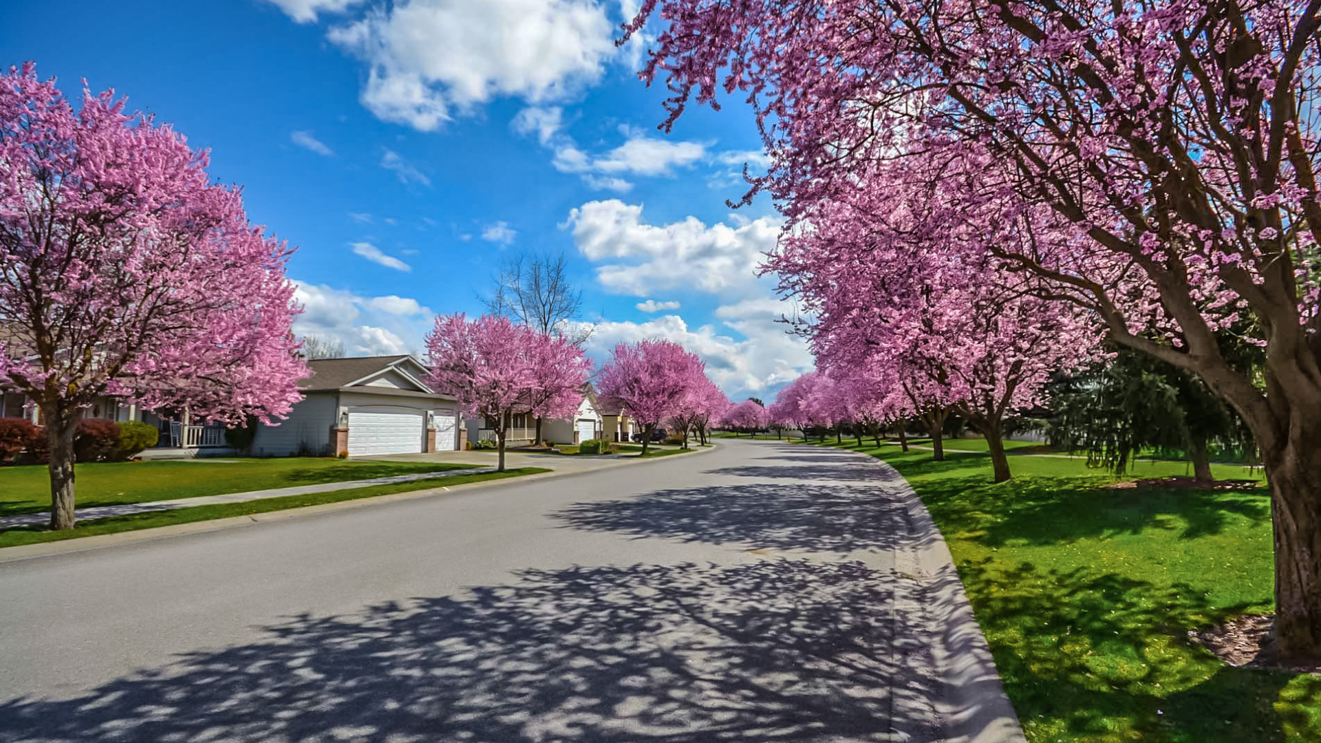 Lotissement asl voiries et espaces verts