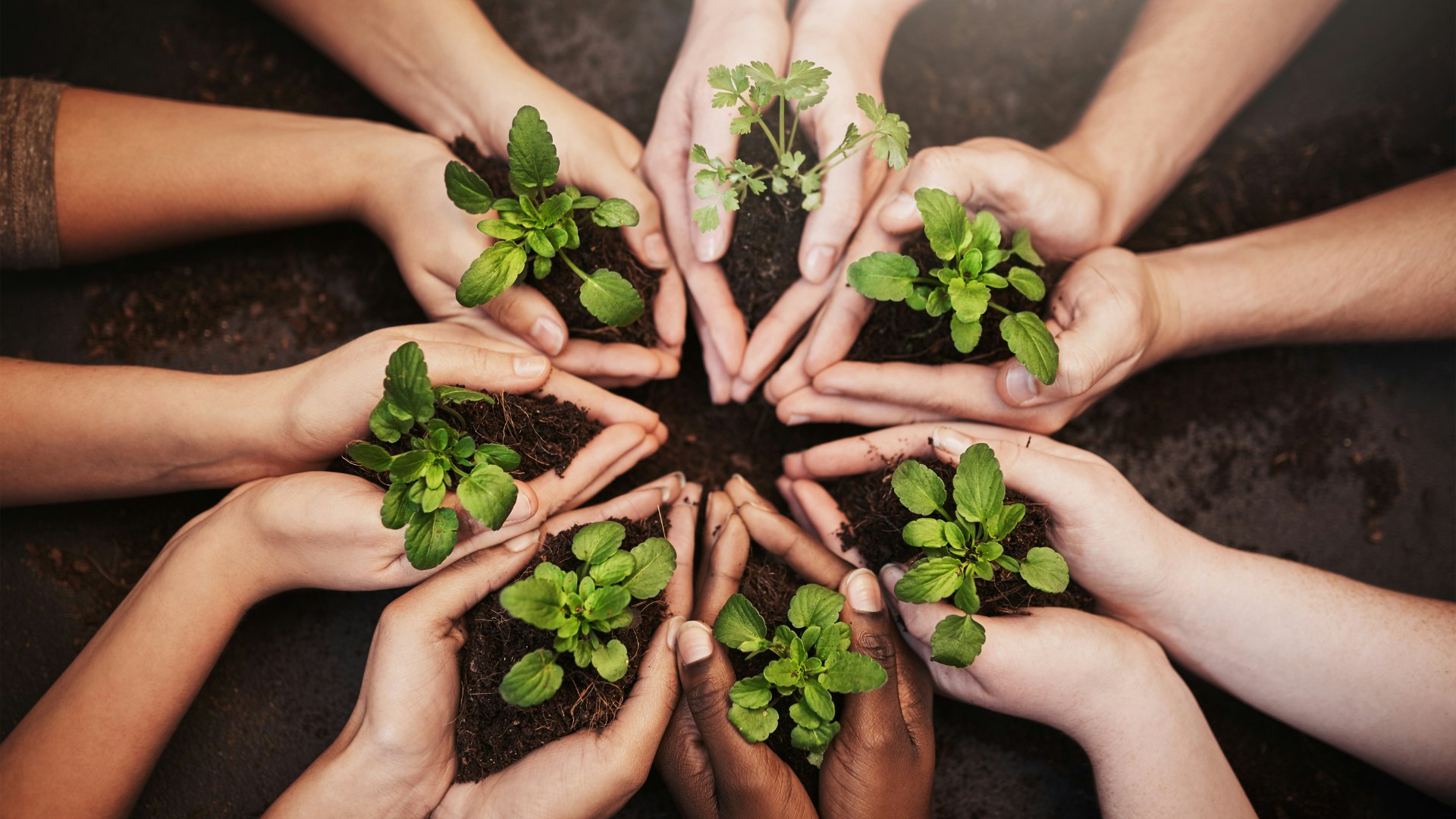 Association syndicale libre éco-responsabilité