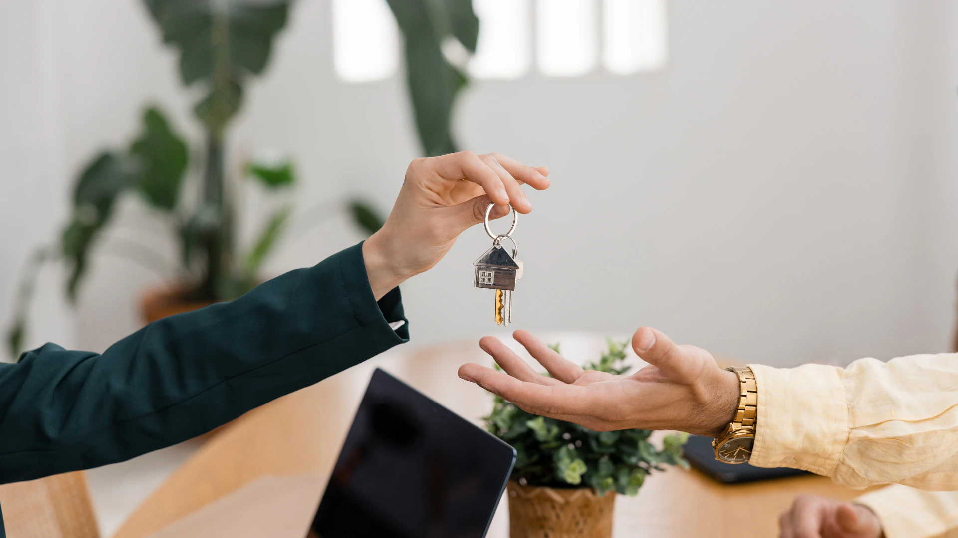 vente maison asl lotissement