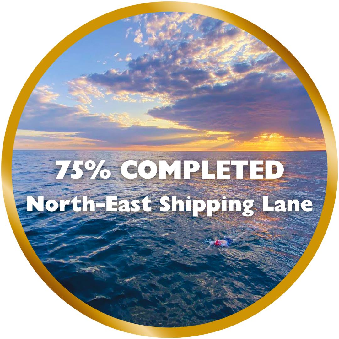 You're in the North-East Shipping Lane!