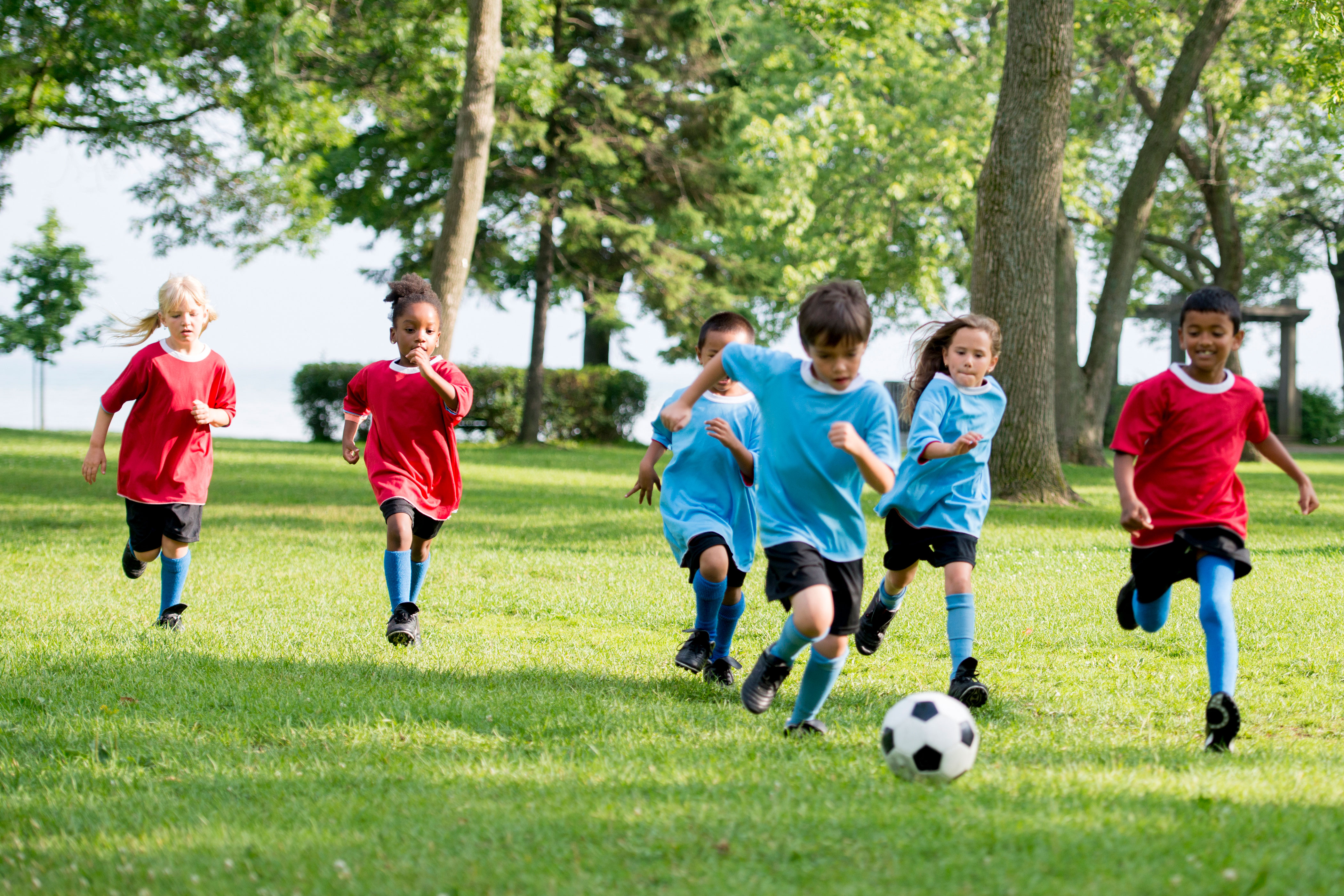 Children in red and blue football kits chasing ball