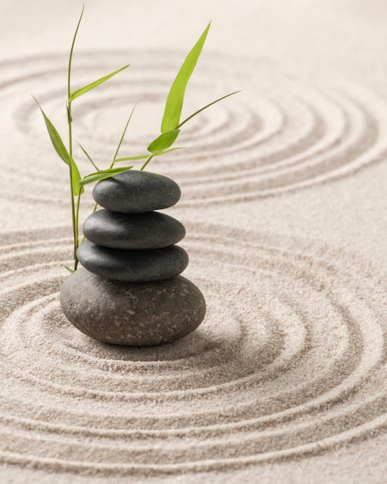 Le Attitudini Della Mindfulness- Episodio 3: La Mente Del Principiante