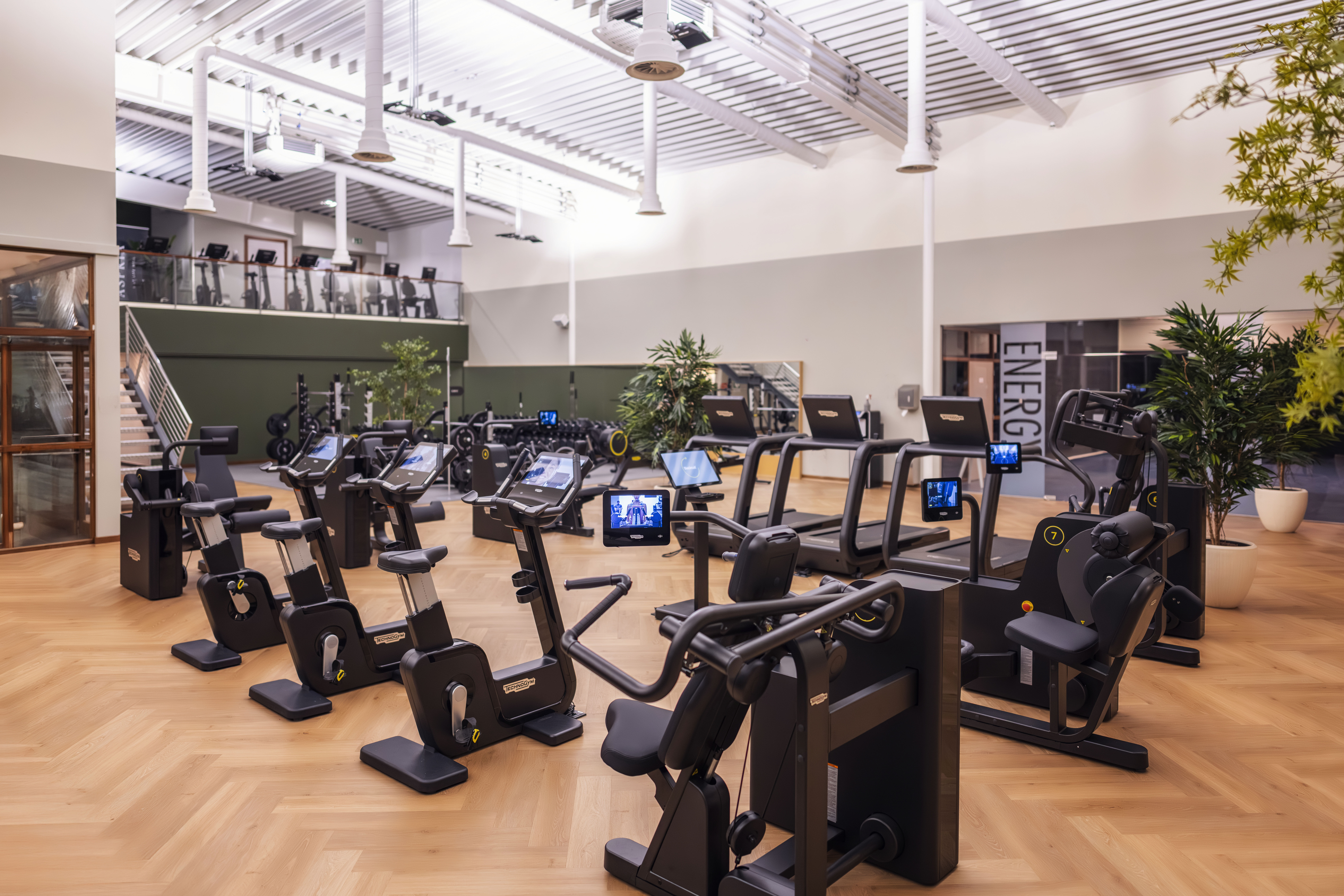 Brand New Training Area