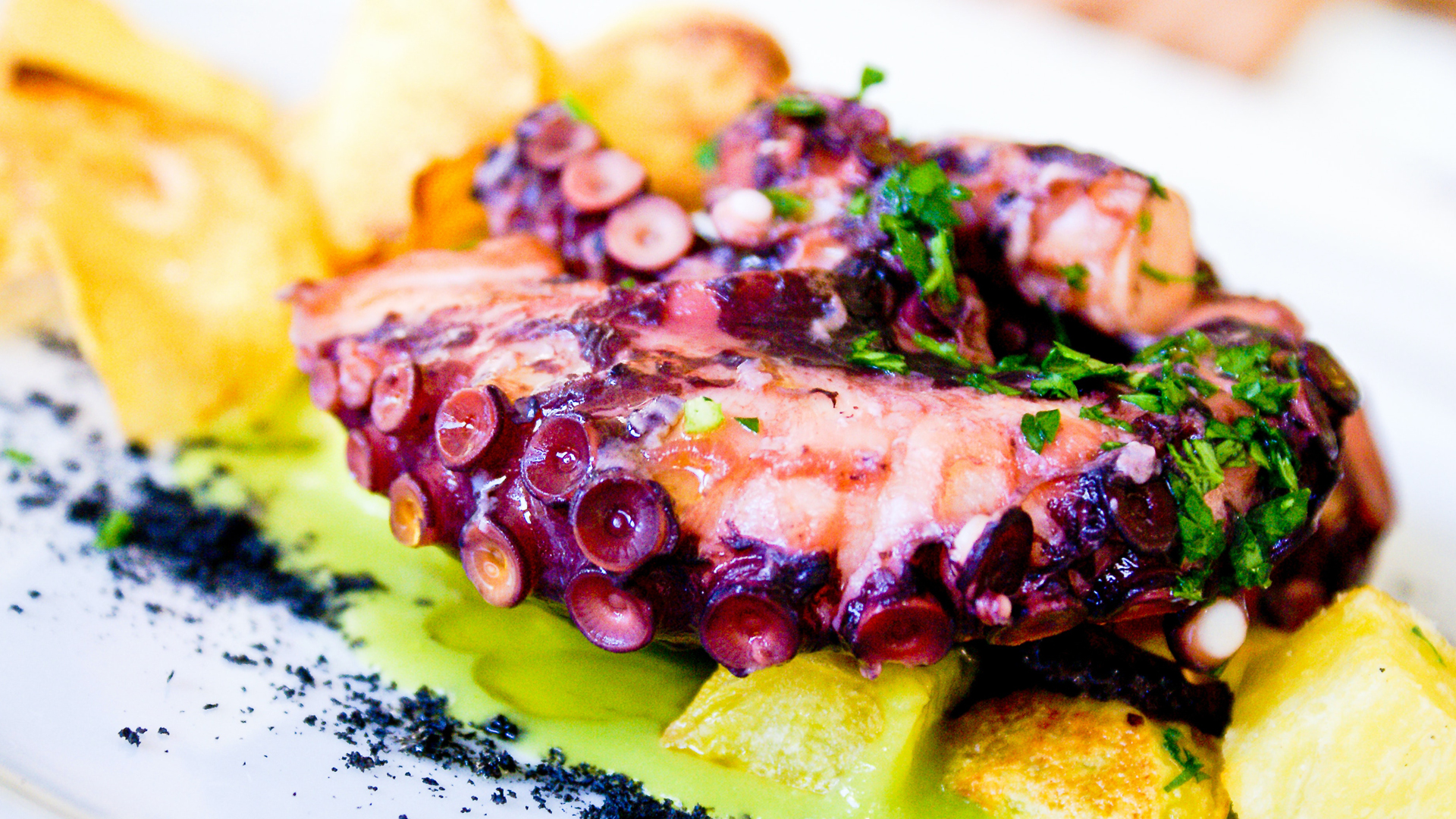 Ricetta Healthy Insalata Di Polpo Aspria