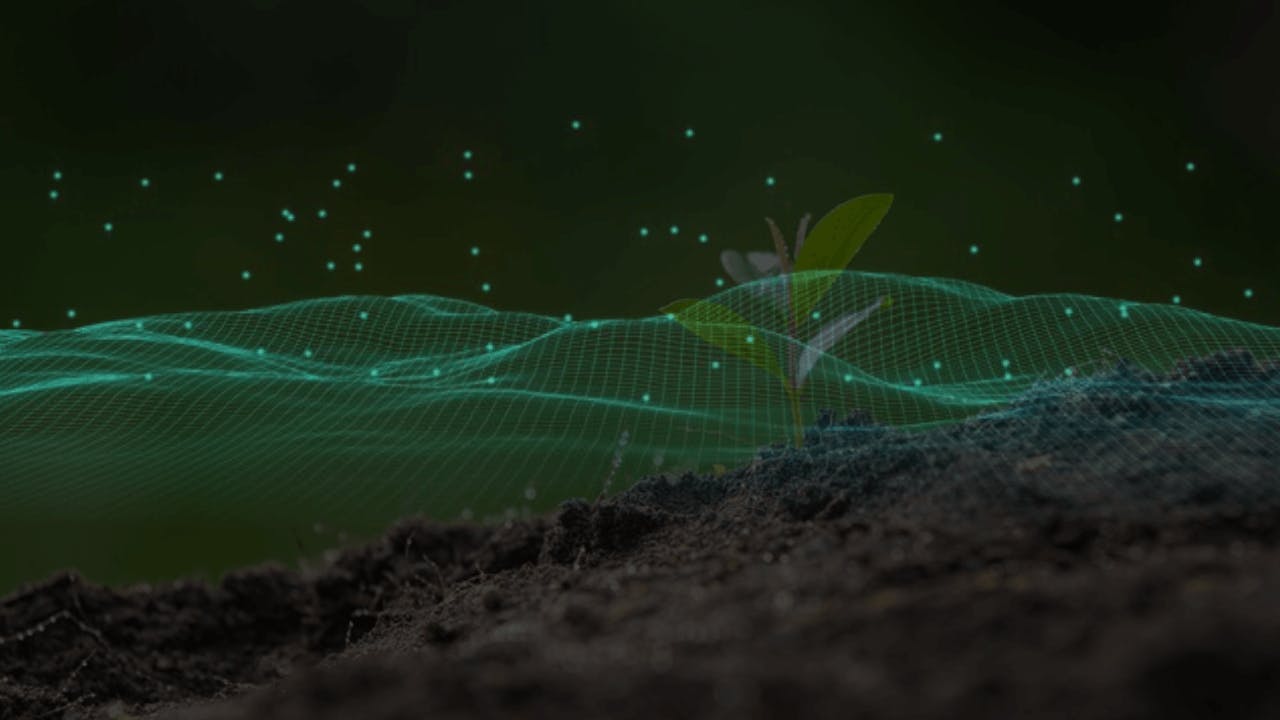 Dados Ocultos: O Impacto Ambiental e a Urgência de Redução do Dark Data