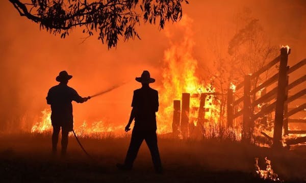 5 good things that came out of the bushfires