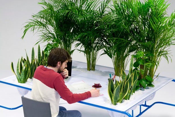 Why you should become a plant parent