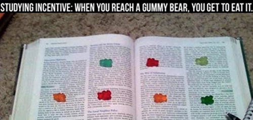 Build rewards into your study schedule