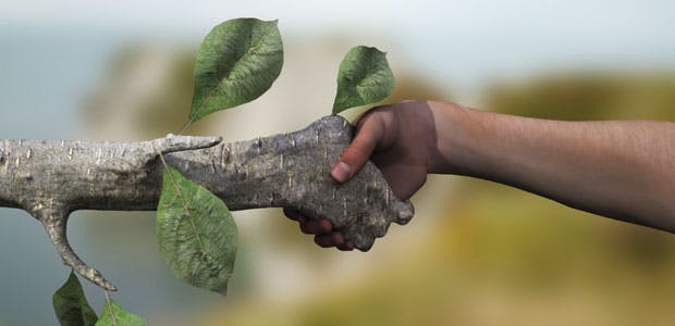 Change your lifestyle to help the Earth
