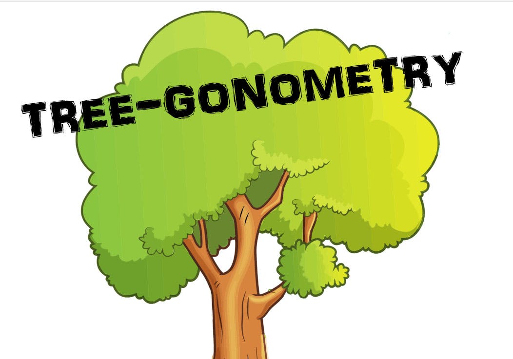 Maths: Discovering the wonders of trigonometry