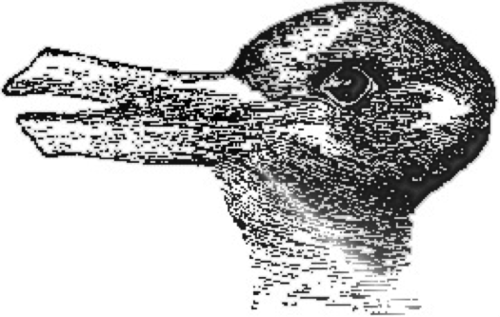 Why Do We See Illusions Why Do We See Illusions