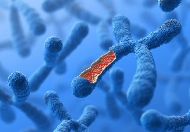 Biology: How do dominant and recessive genes work?