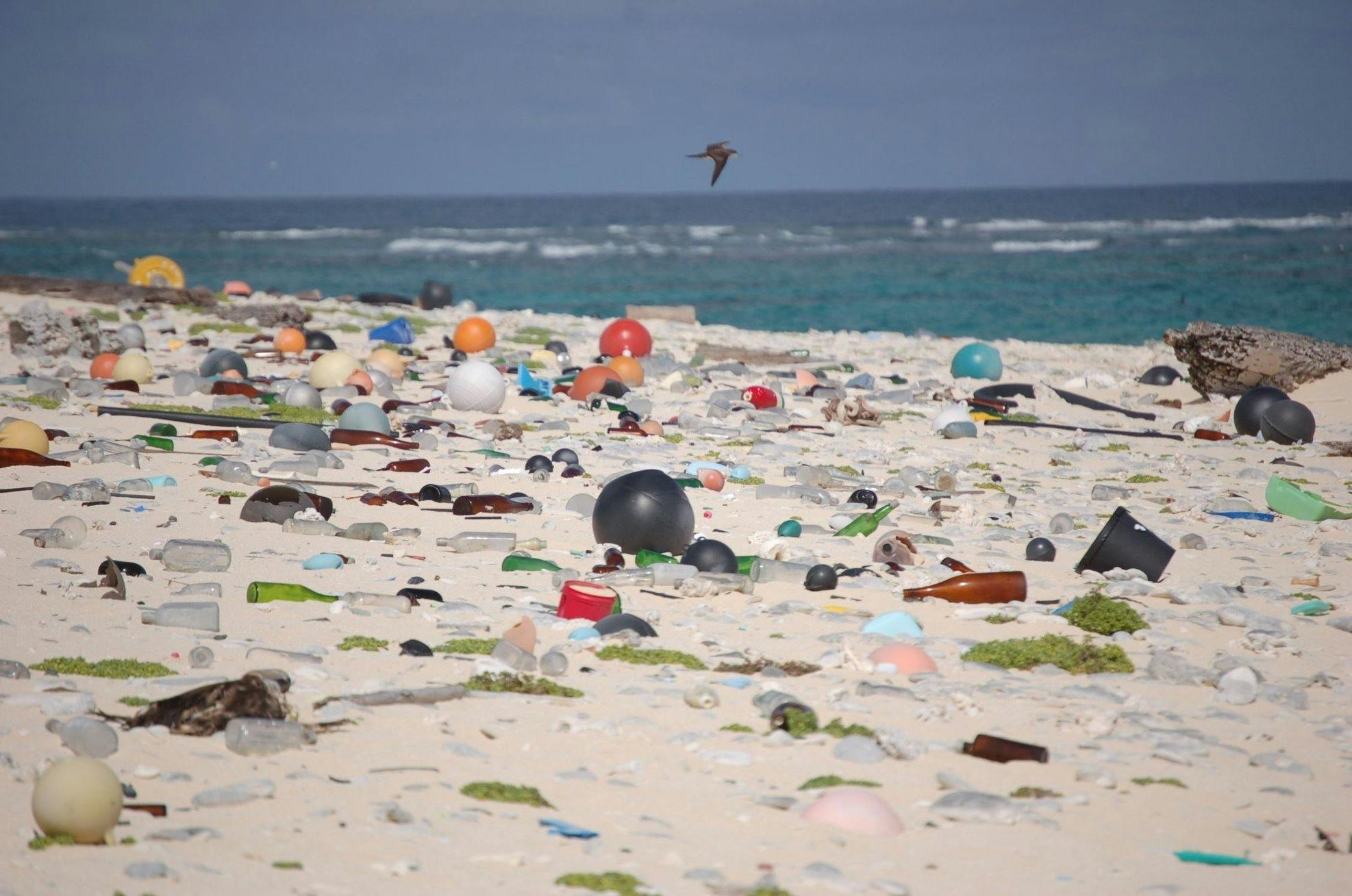 Science: reducing our reliance on plastic