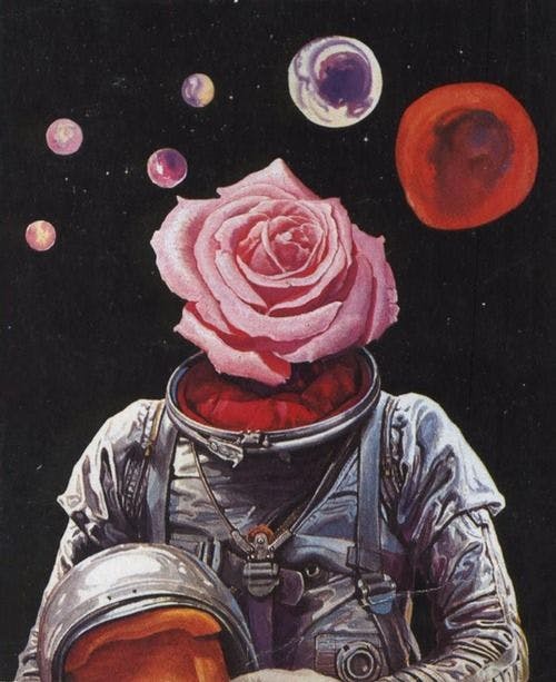 Science: what happens to your body in space?