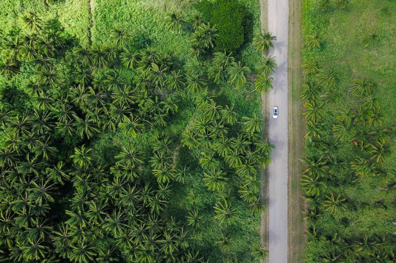 Environmental, Social and Corporate Governance
