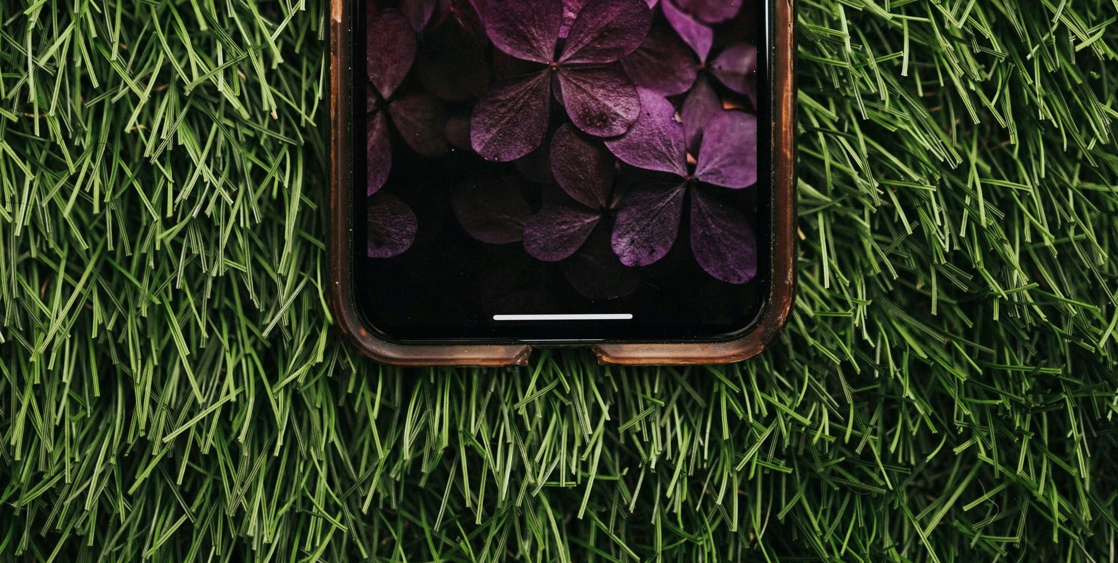 Phone on the grass