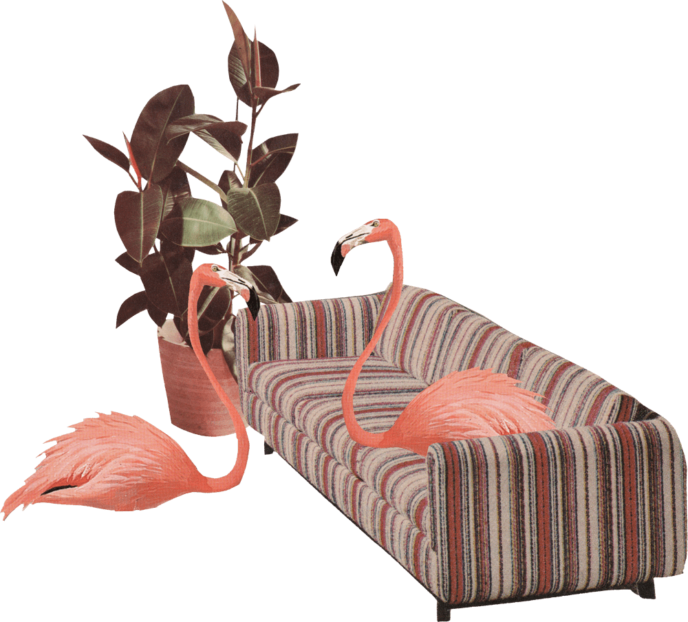 ASTORIA WEST LIC Queens Waterfront Apartments LIC Rentals