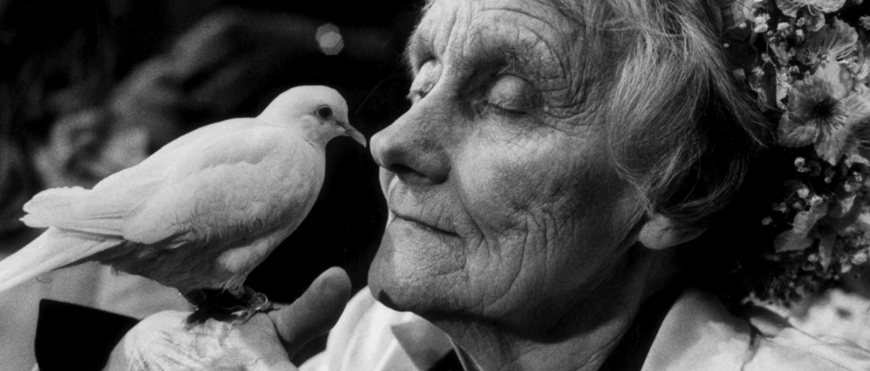 © Jacob Forsell Astrid Lindgren med duva
