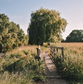 pont herbe saule pleureur campagne été atelier unes pour la ceinture synthétique en simili-cuir